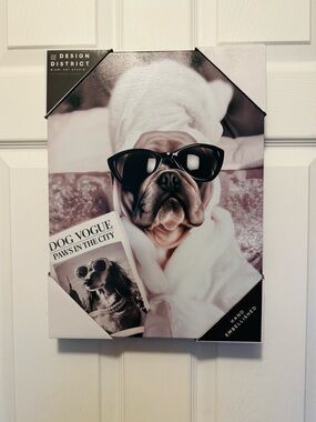Design District “DOG VOGUE” Paws In The City